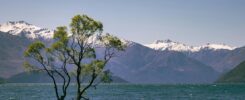 Cost of Living in New Zealand: Full Guide 2026