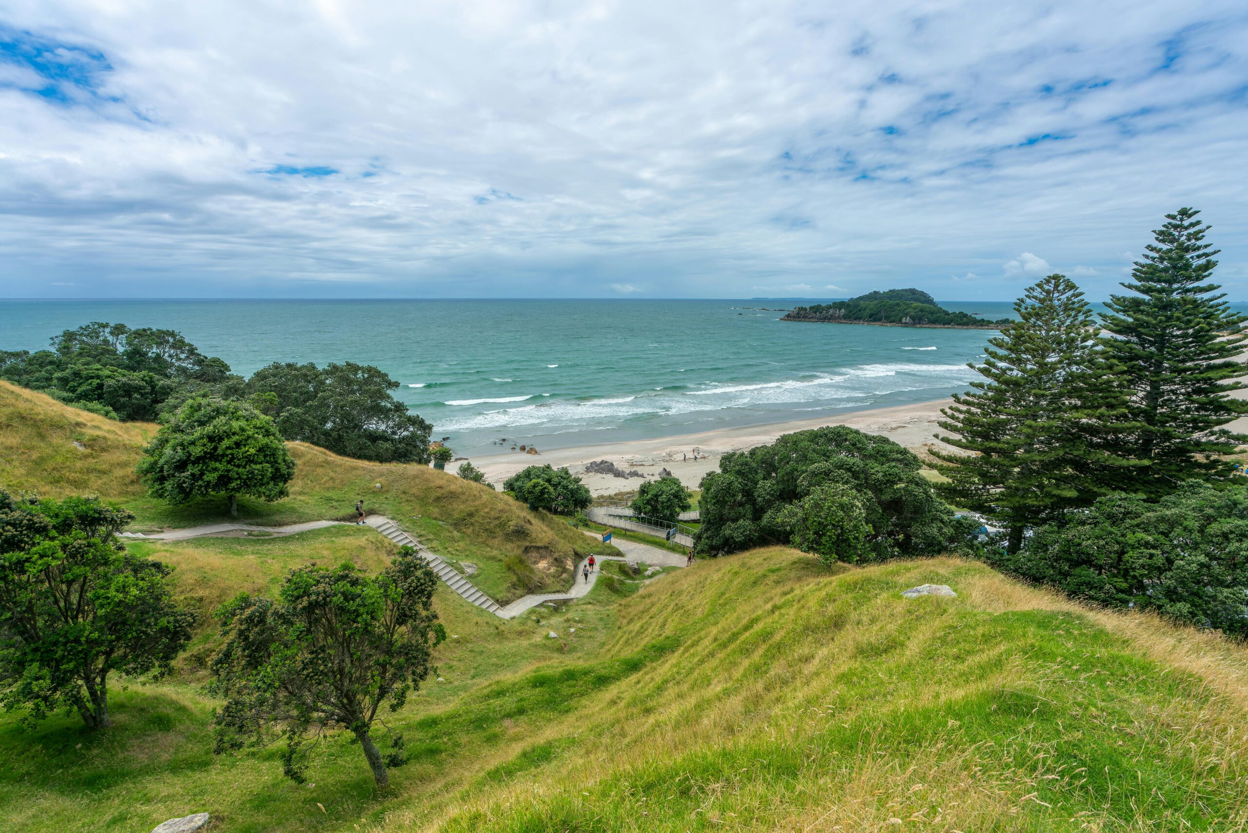 How to get a job in New Zealand – preparing CV and interview for foreigners