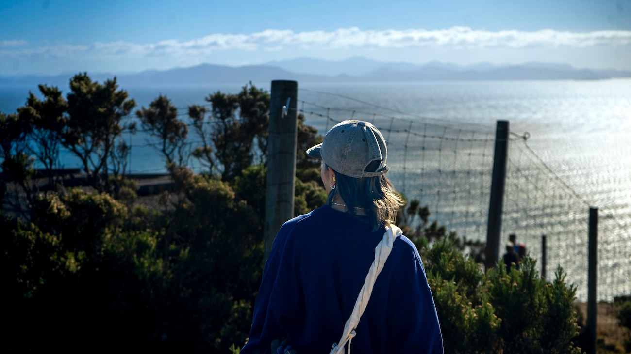 Life in New Zealand – expats enjoying outdoor hiking lifestyle