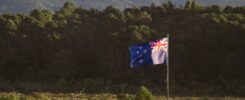 How to get an IRD number in New Zealand 2026 for new migrants step-by-step guide