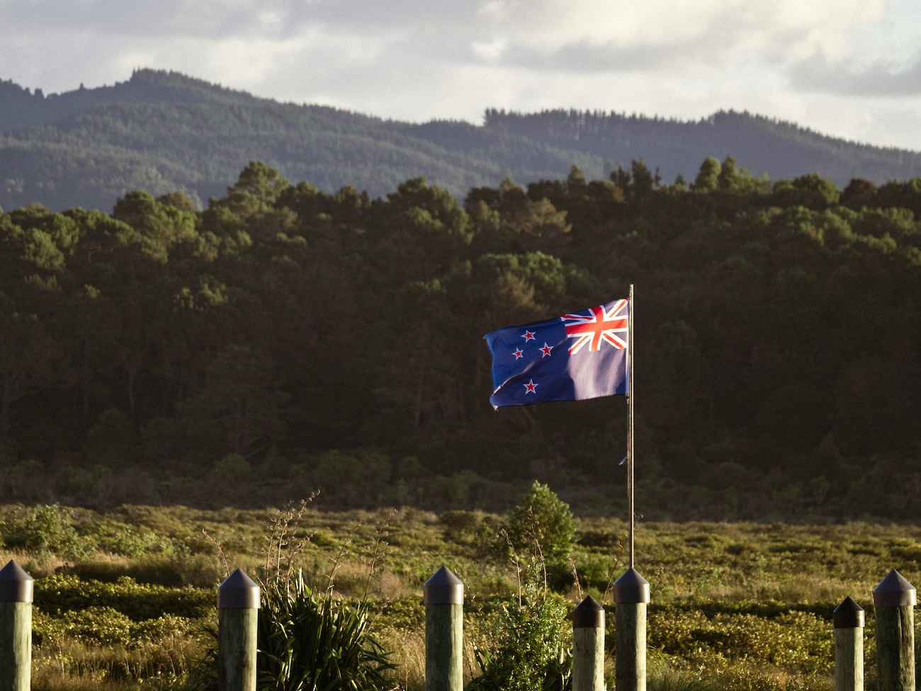 How to Get an IRD Number in New Zealand in 2026: Complete Guide for New Migrants & Arrivals