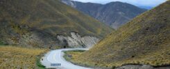Road rules in New Zealand - Things that surprise foreigners