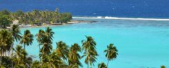 Sunny turquoise lagoon and palm trees in Rarotonga on a perfect day — best time to visit Rarotonga